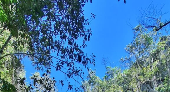 Turismo em Goiás registra a segunda maior alta do país